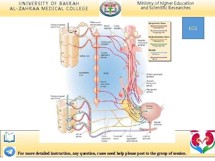 UNIVERSITY OF BASRAH AL-ZAHRAA MEDICAL COLLEGE Ministry of higher Education and Scientific Researches LO