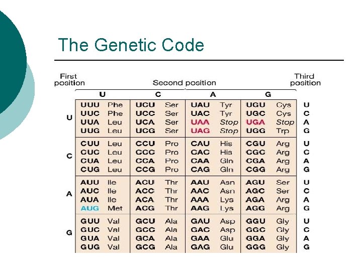 The Genetic Code The Genetic Code