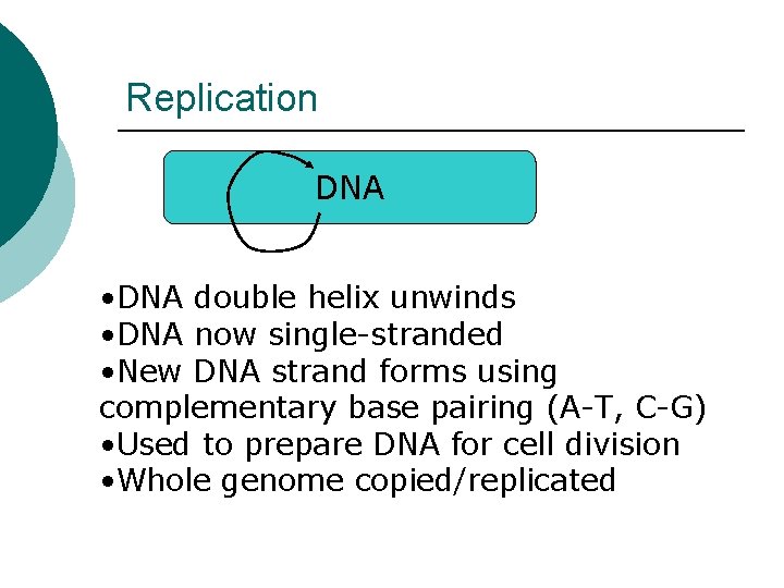 Replication DNA • DNA double helix unwinds • DNA now single-stranded • New DNA Replication DNA • DNA double helix unwinds • DNA now single-stranded • New DNA
