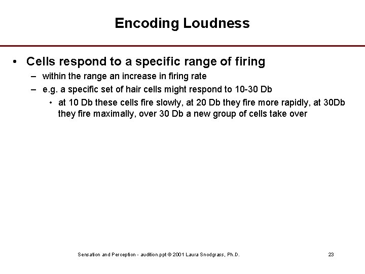 Encoding Loudness • Cells respond to a specific range of firing – within the