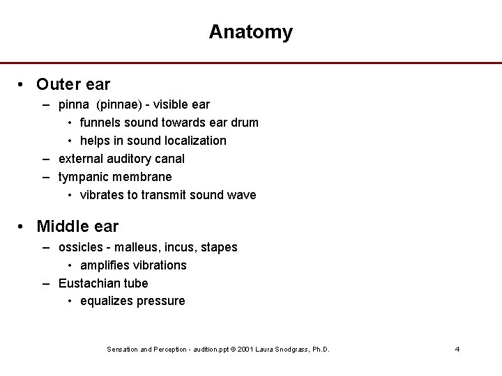 Anatomy • Outer ear – pinna (pinnae) - visible ear • funnels sound towards