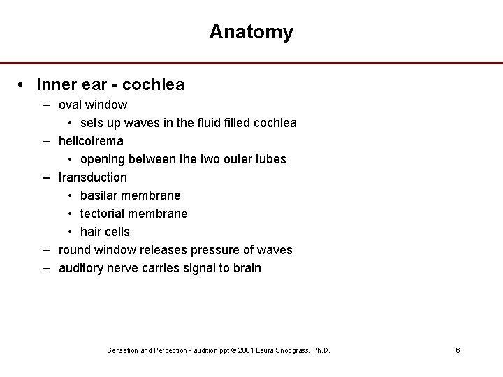 Anatomy • Inner ear - cochlea – oval window • sets up waves in