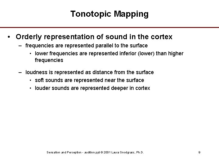 Tonotopic Mapping • Orderly representation of sound in the cortex – frequencies are represented