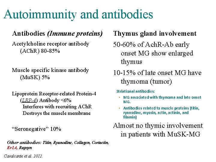 Autoimmunity and antibodies Antibodies (Immune proteins) Thymus gland involvement Acetylcholine receptor antibody (ACh. R)