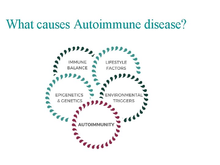 What causes Autoimmune disease? 