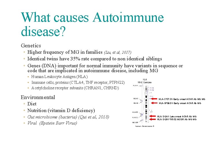 What causes Autoimmune disease? Genetics ◦ Higher frequency of MG in families (Liu, et