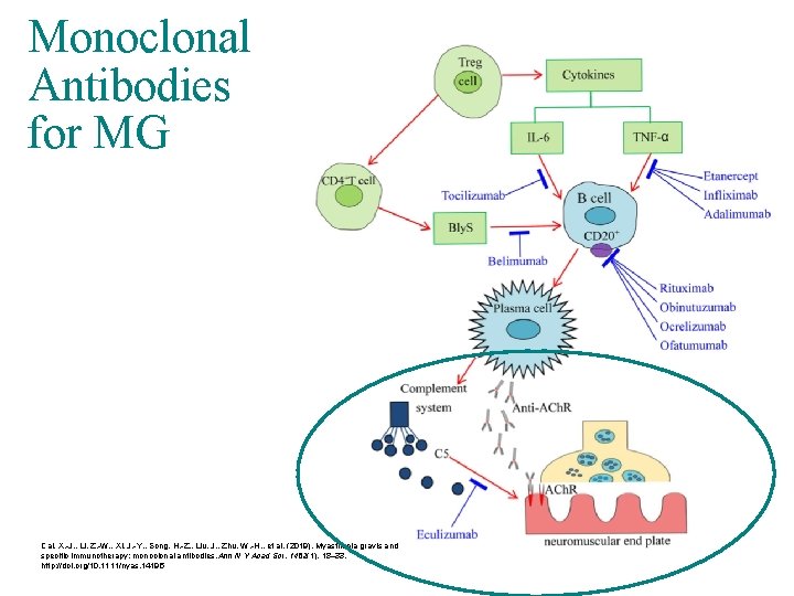 Monoclonal Antibodies for MG Cai, X. -J. , Li, Z. -W. , Xi, J.