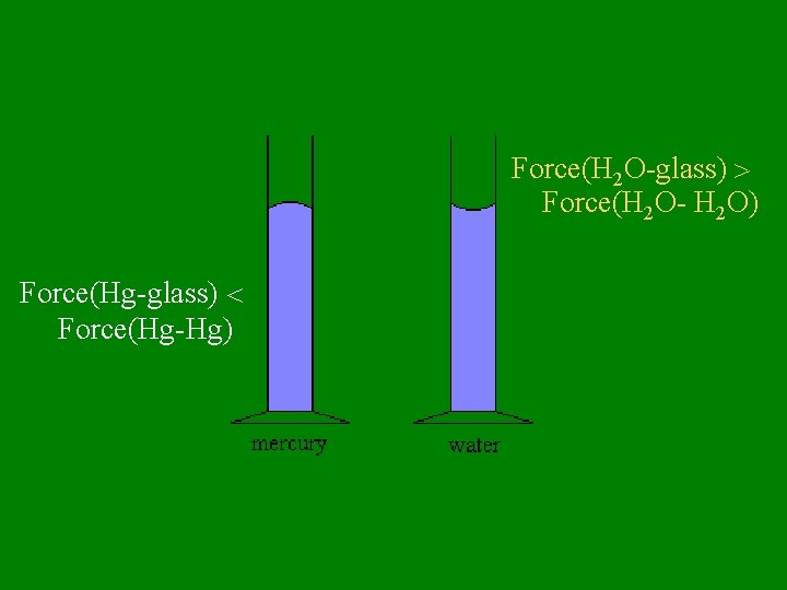 Force(H 2 O-glass) Force(H 2 O- H 2 O) Force(Hg-glass) Force(Hg-Hg) 