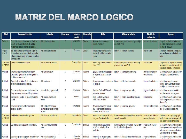 MATRIZ DEL MARCO LÓGICO 