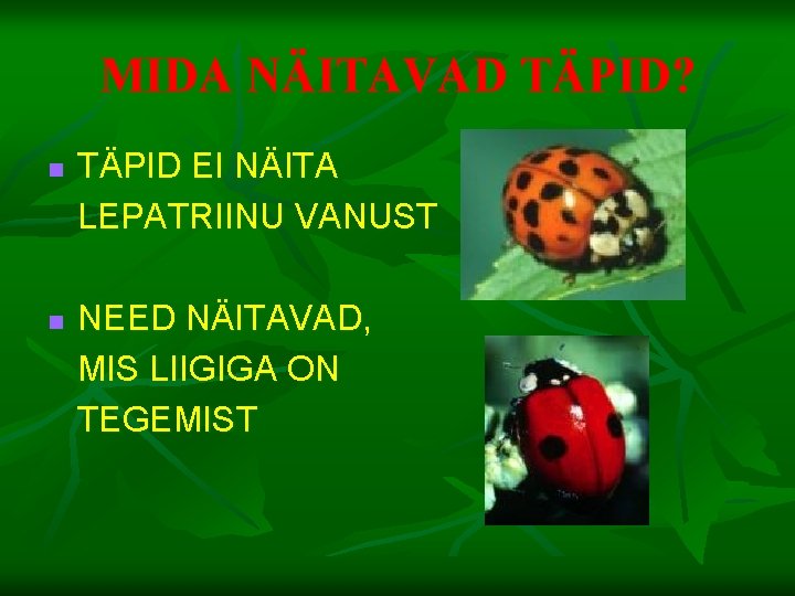 MIDA NÄITAVAD TÄPID? n n TÄPID EI NÄITA LEPATRIINU VANUST NEED NÄITAVAD, MIS LIIGIGA