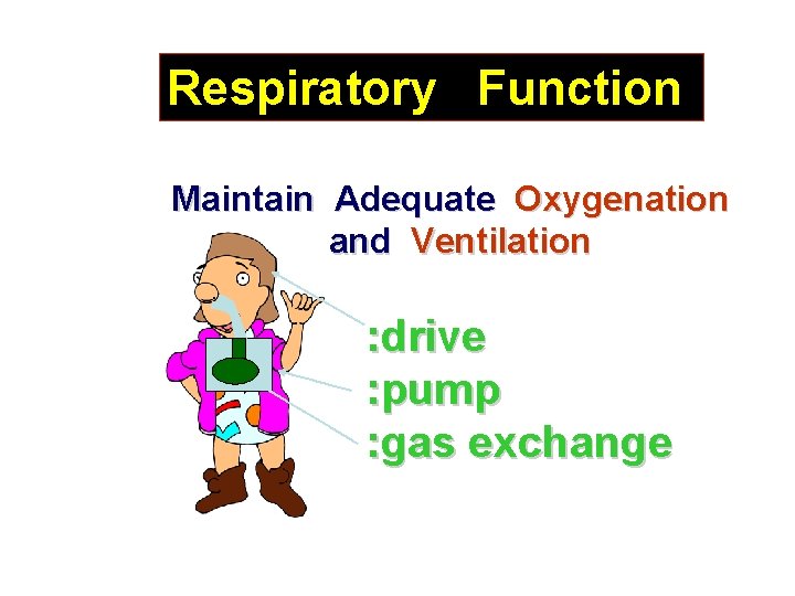 Respiratory Function Maintain Adequate Oxygenation and Ventilation : drive : pump : gas exchange