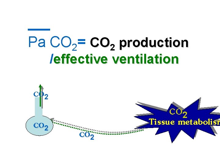 Pa CO 2= CO 2 production /effective ventilation CO 2 Tissue metabolism 