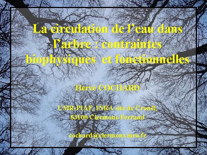 La circulation de l’eau dans l’arbre : contraintes biophysiques et fonctionnelles Hervé COCHARD UMR-PIAF,