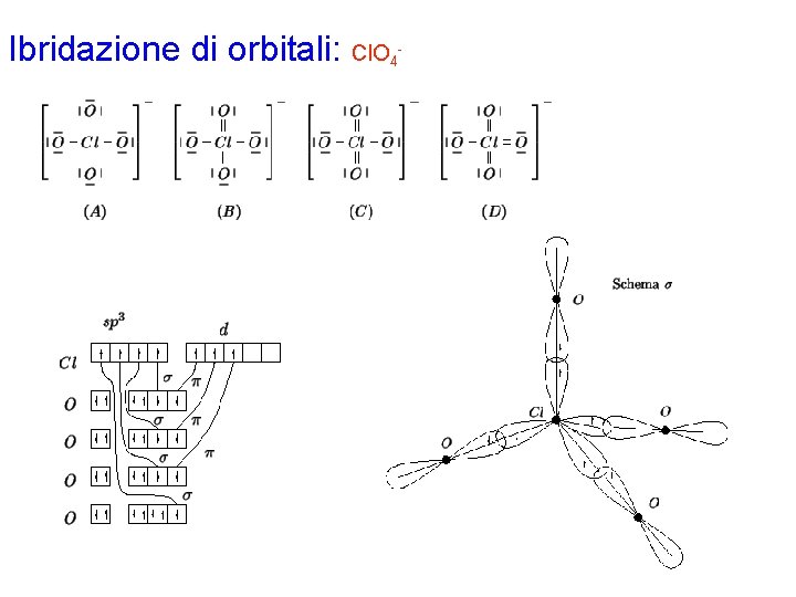 Ibridazione di orbitali: Cl. O 4 - 