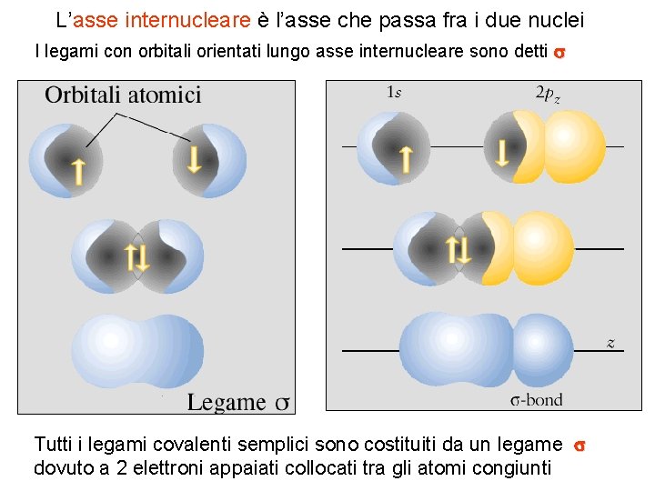 L’asse internucleare è l’asse che passa fra i due nuclei I legami con orbitali