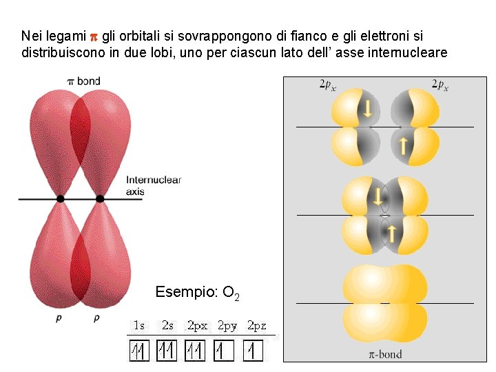 Nei legami p gli orbitali si sovrappongono di fianco e gli elettroni si distribuiscono