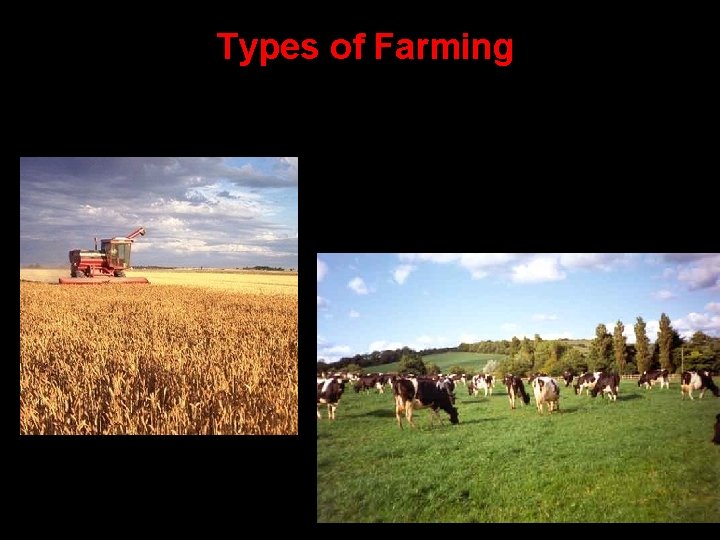 Types of Farming 