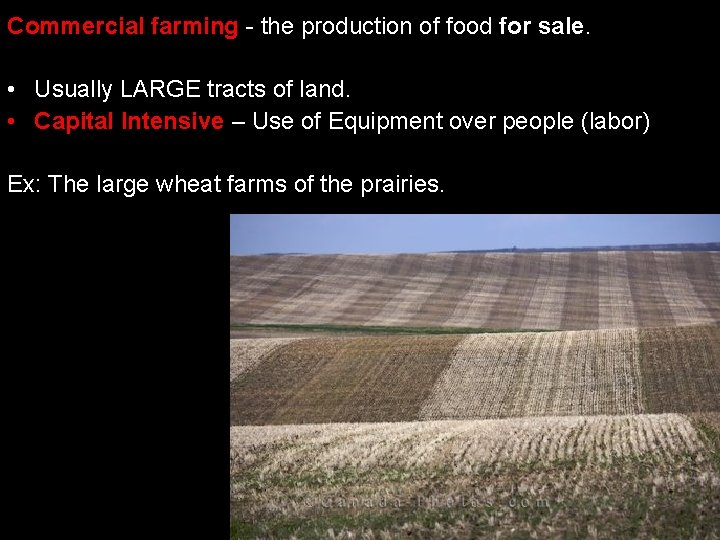 Commercial farming - the production of food for sale. • Usually LARGE tracts of