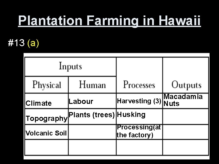 Plantation Farming in Hawaii #13 (a) Climate Topography Volcanic Soil Labour Macadamia Harvesting (3)