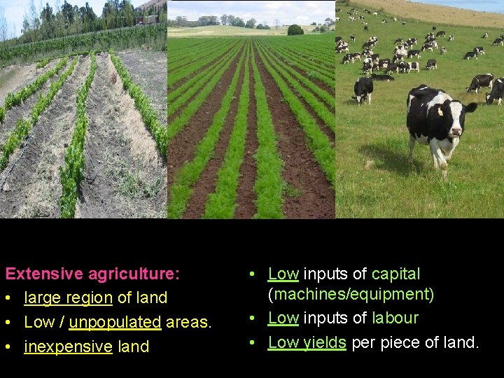 Extensive agriculture: • large region of land • Low / unpopulated areas. • inexpensive