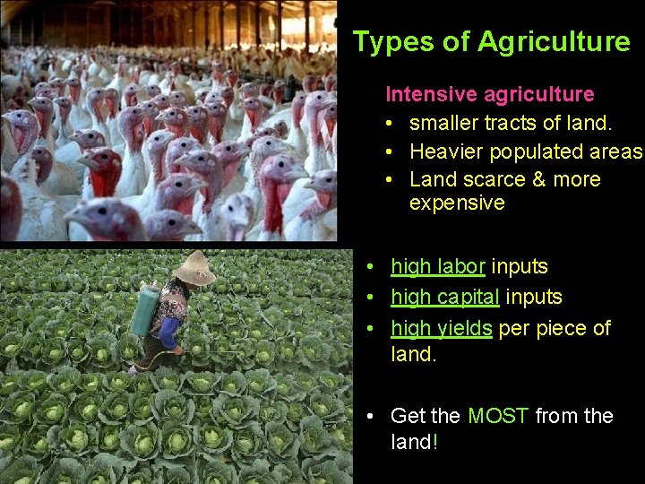 Types of Agriculture Intensive agriculture • smaller tracts of land. • Heavier populated areas