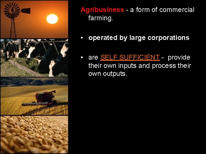 Agribusiness - a form of commercial farming. • operated by large corporations • are