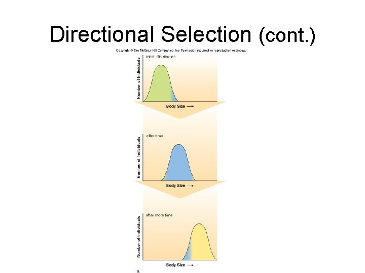 Directional Selection (cont. ) 