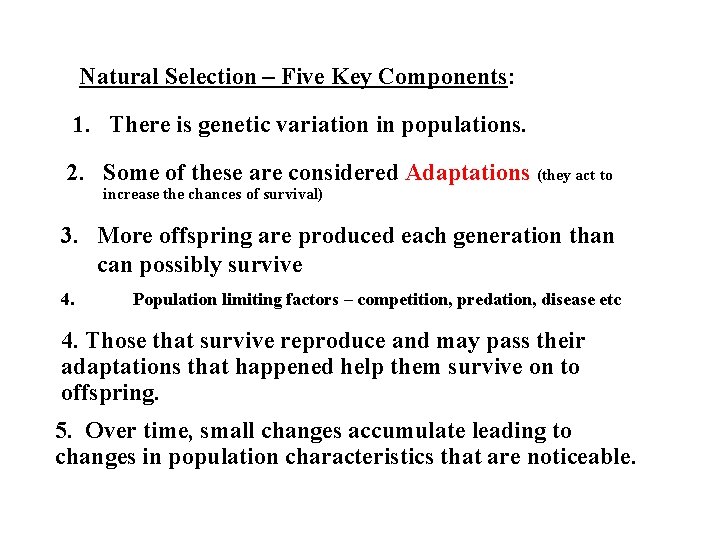 Natural Selection – Five Key Components: 1. There is genetic variation in populations. 2.