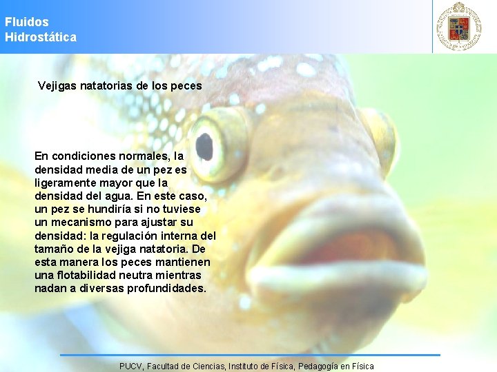 Fluidos Hidrostática Vejigas natatorias de los peces En condiciones normales, la densidad media de