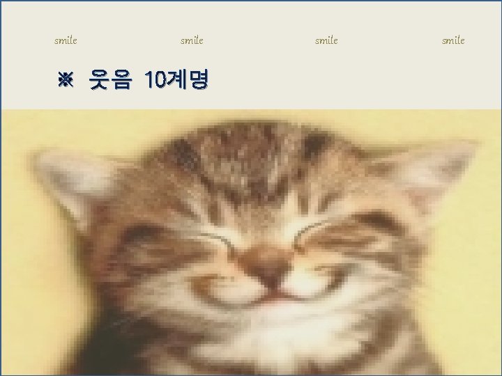 smile ※ 웃음 10계명 smile 