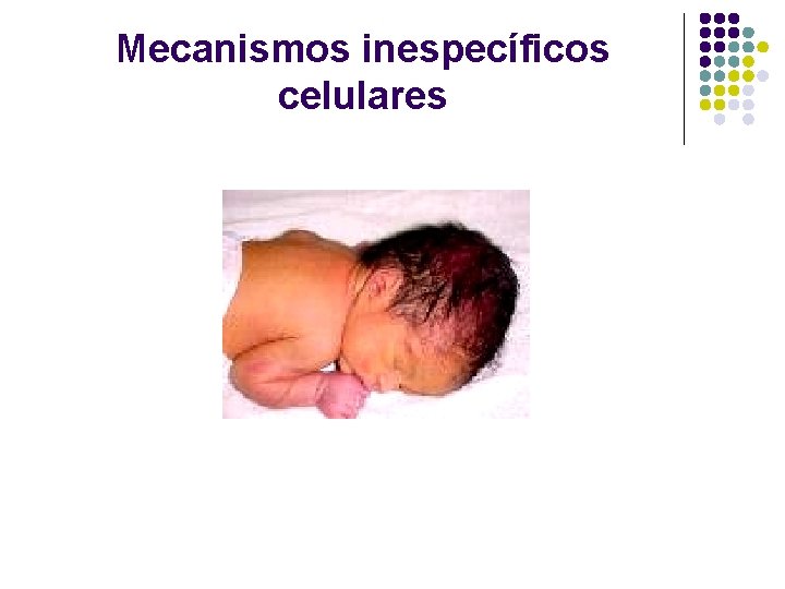 Mecanismos inespecíficos celulares 