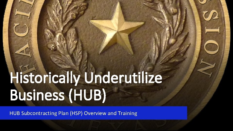 Historically Underutilize Business (HUB) HUB Subcontracting Plan (HSP) Overview and Training 