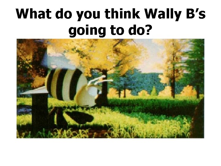 What do you think Wally B’s going to do? 