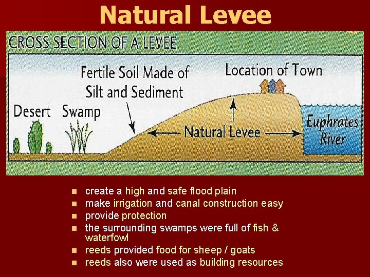 Natural Levee create a high and safe flood plain make irrigation and canal construction