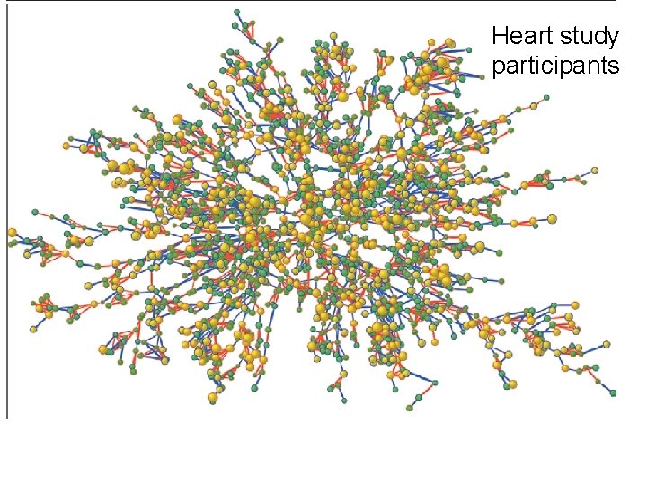 Heart study participants 