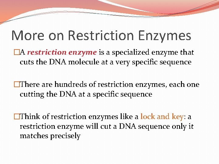 More on Restriction Enzymes �A restriction enzyme is a specialized enzyme that cuts the