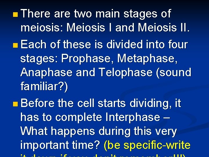 n There are two main stages of meiosis: Meiosis I and Meiosis II. n