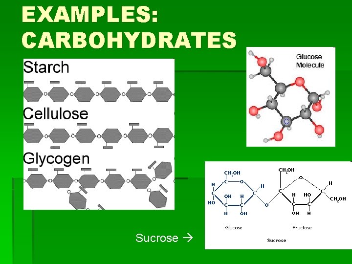 EXAMPLES: CARBOHYDRATES Sucrose EXAMPLES: CARBOHYDRATES Sucrose