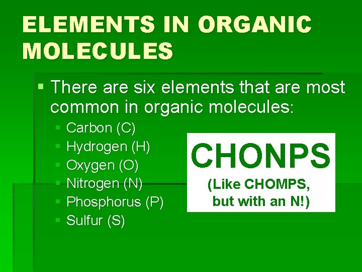ELEMENTS IN ORGANIC MOLECULES § There are six elements that are most common in ELEMENTS IN ORGANIC MOLECULES § There are six elements that are most common in