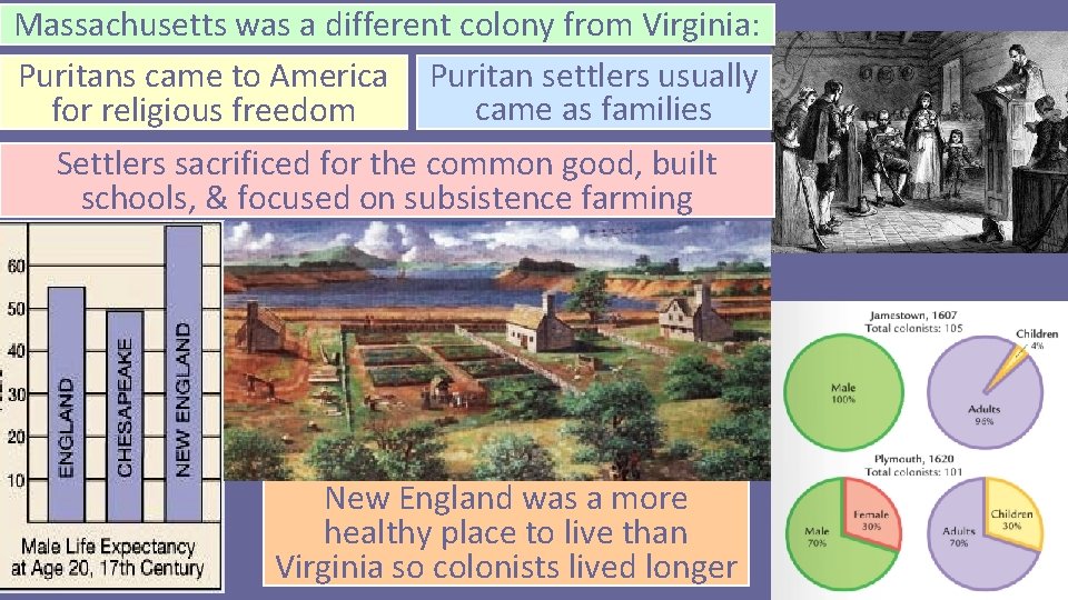 Massachusetts was a different colony from Virginia: Puritans came to America Puritan settlers usually