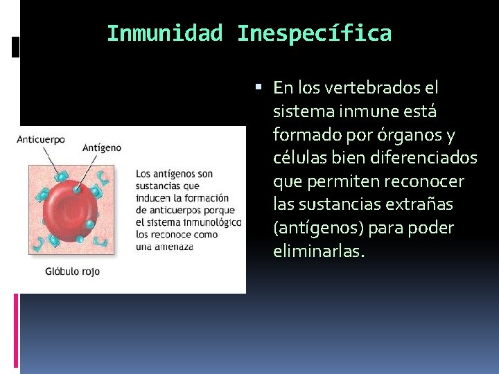 Inmunidad Inespecífica En los vertebrados el sistema inmune está formado por órganos y células