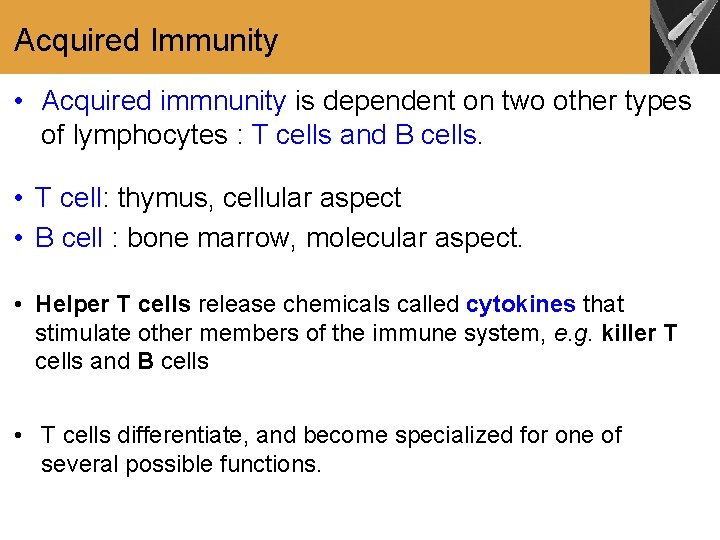 Acquired Immunity • Acquired immnunity is dependent on two other types of lymphocytes :