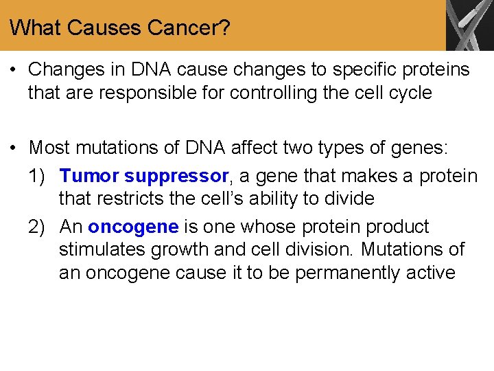 What Causes Cancer? • Changes in DNA cause changes to specific proteins that are