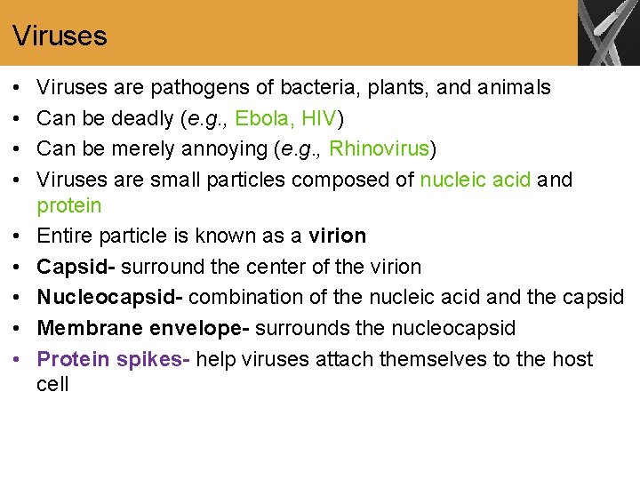 Viruses • • • Viruses are pathogens of bacteria, plants, and animals Can be