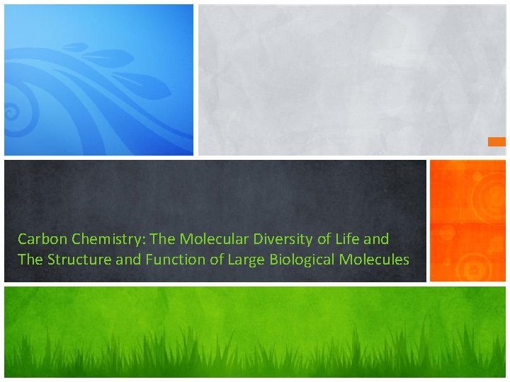 Carbon Chemistry: The Molecular Diversity of Life and The Structure and Function of Large