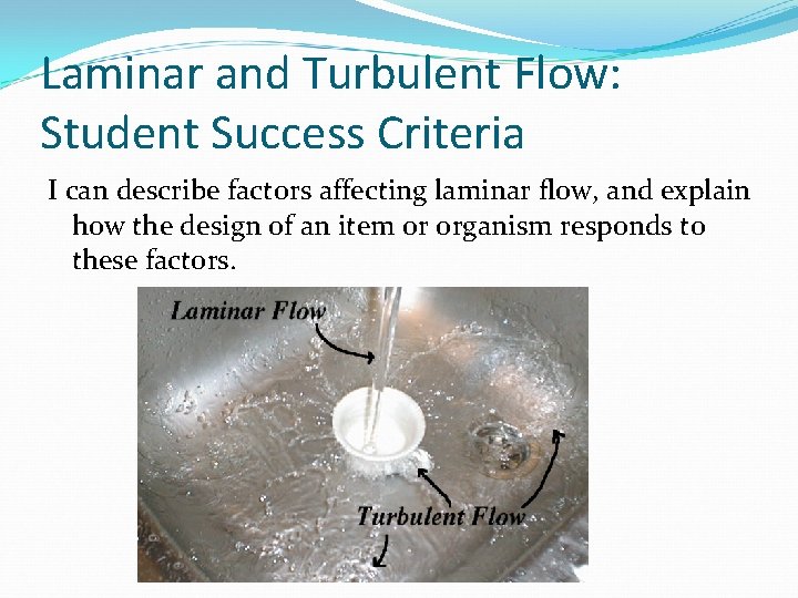 Laminar and Turbulent Flow: Student Success Criteria I can describe factors affecting laminar flow,