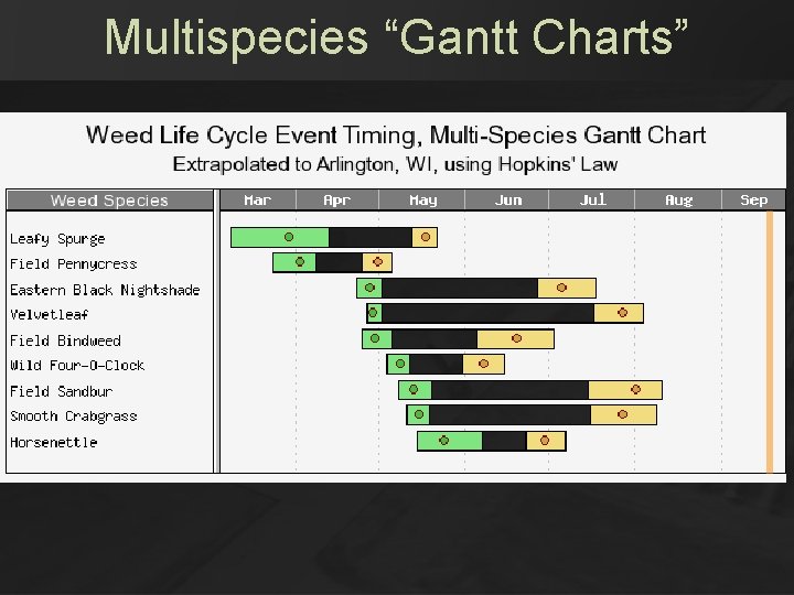 Multispecies “Gantt Charts” Multispecies “Gantt Charts”