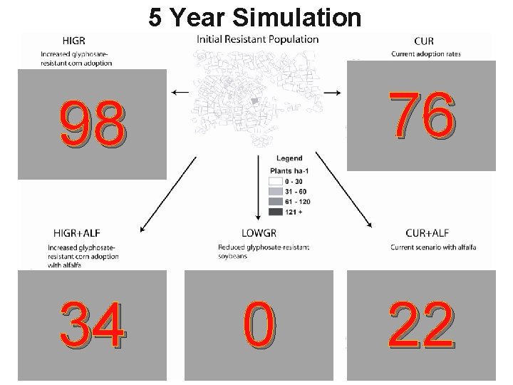 5 Year Simulation 76 98 34 0 22 5 Year Simulation 76 98 34 0 22