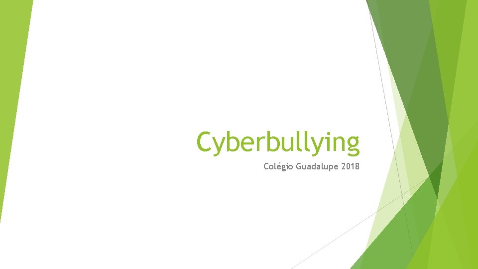Cyberbullying Colégio Guadalupe 2018 