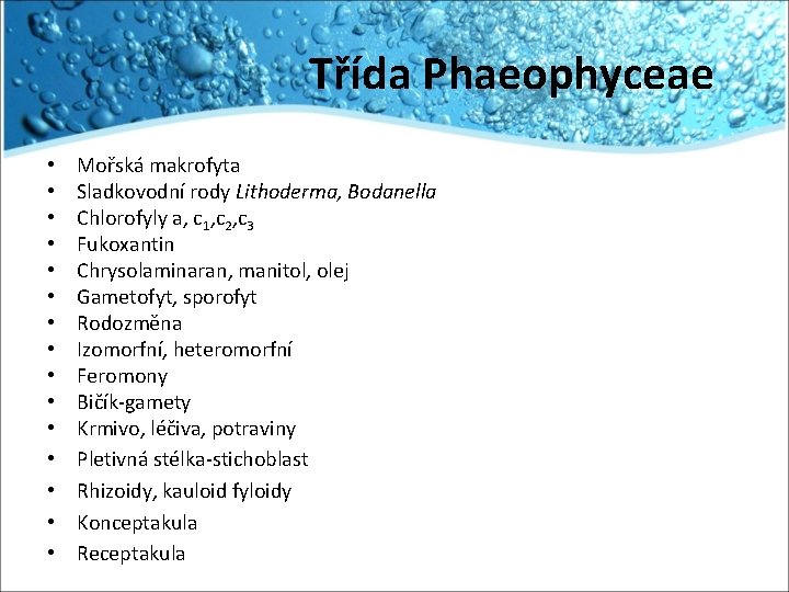 Třída Phaeophyceae • • • • Mořská makrofyta Sladkovodní rody Lithoderma, Bodanella Chlorofyly a,
